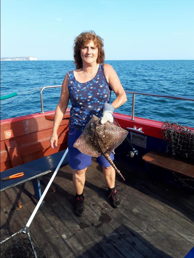 4 lb Thornback Ray by Lady Angler from Christchurch.....