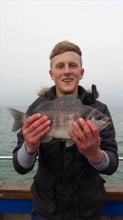 2 lb 2 oz Black Sea Bream by Unknown