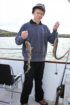 2 lb 8 oz Lesser Spotted Dogfish by Harry