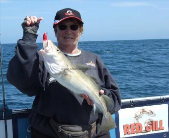 8 lb 8 oz Cod by Denise Youngs