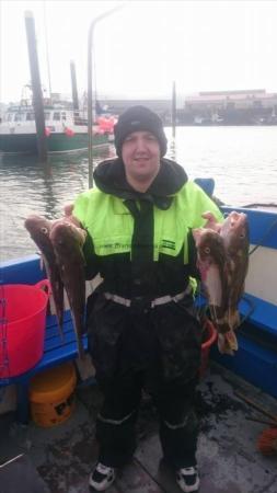 4 lb 8 oz Cod by Steve Binnington