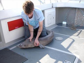 72 lb Conger Eel by James Smith