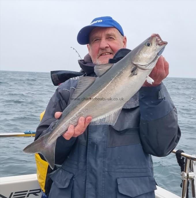 7 lb 1 oz Coalfish (Coley/Saithe) by Rob