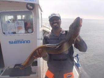 13 lb 3 oz Ling by Dr Ash Bandela from Newcastle.