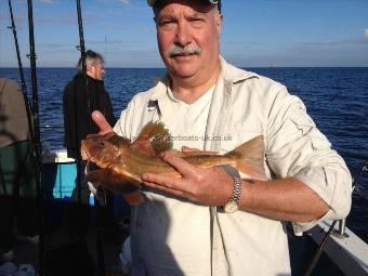 2 lb Tub Gurnard by Eric Roinson