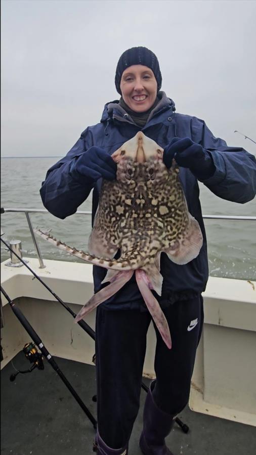 7 lb 9 oz Thornback Ray by Samantha