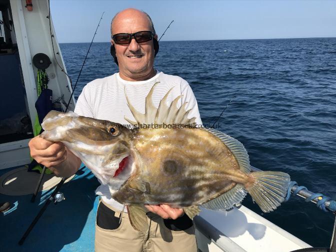 7 lb John Dory by Cyril Williams