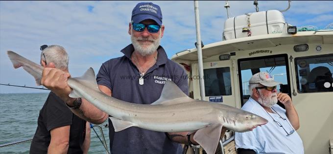 9 lb Starry Smooth-hound by Phil