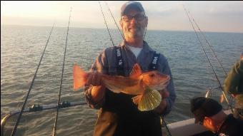 2 lb 8 oz Tub Gurnard by Unknown