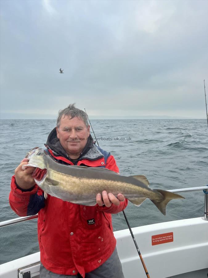 5 lb 12 oz Pollock by Tony Barrett