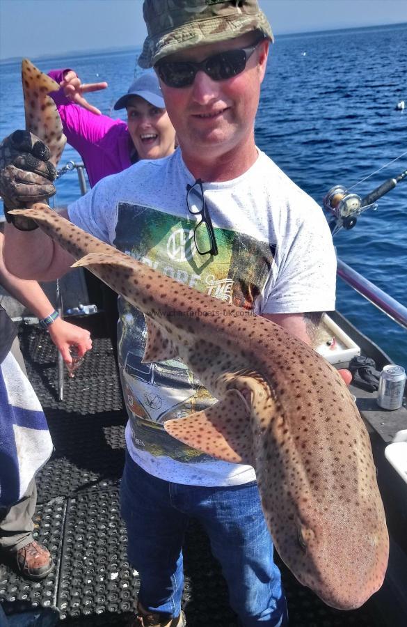 16 lb Bull Huss by sean