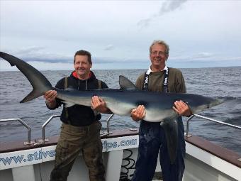 80 lb Blue Shark by Simon