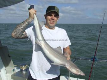 13 lb 6 oz Starry Smooth-hound by steve