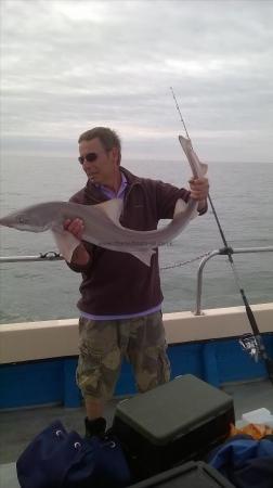 12 lb Starry Smooth-hound by ian bridges