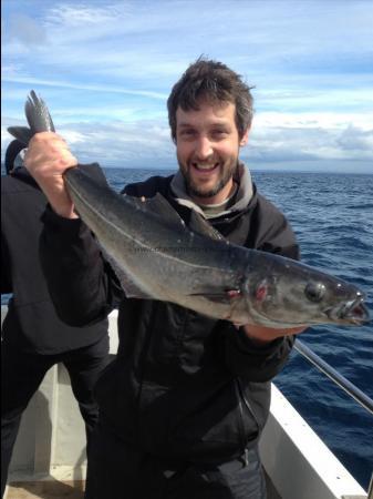 10 lb 2 oz Coalfish (Coley/Saithe) by Unknown