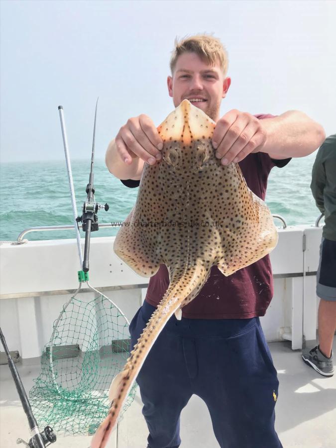 5 lb 4 oz Spotted Ray by Unknown