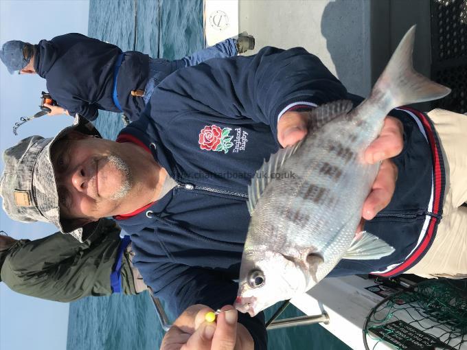 2 lb Black Sea Bream by Steve