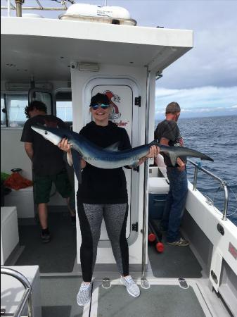 32 lb Blue Shark by Stacey