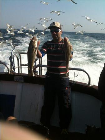 5 lb Cod by Unknown