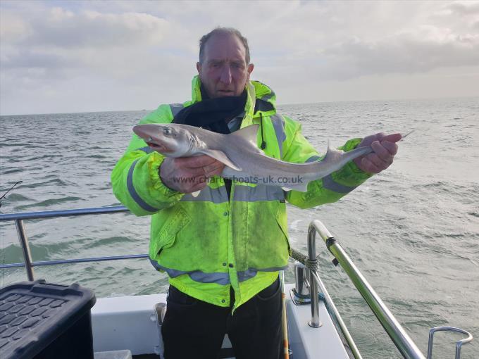 6 lb Smooth-hound by Bob Marshall