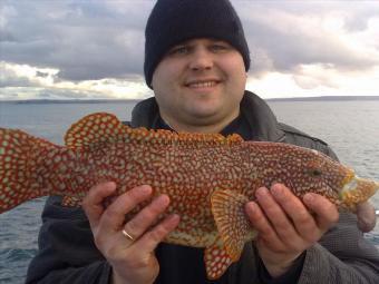 4 lb 3 oz Ballan Wrasse by Polish angler