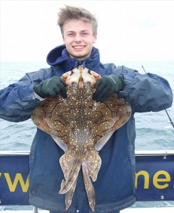 11 lb Undulate Ray by Harry Devonshire
