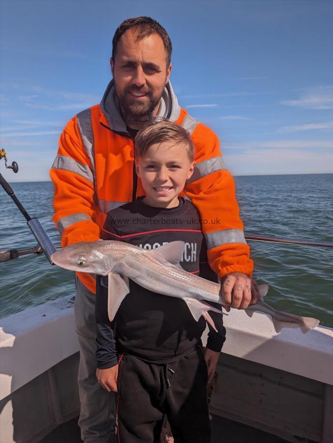 4 lb Starry Smooth-hound by Harvey