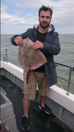 8 lb 8 oz Thornback Ray by Bob Marshall