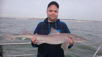 8 lb 8 oz Smooth-hound by Bob Marshall
