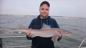 8 lb 8 oz Smooth-hound (Common) by Bob Marshall