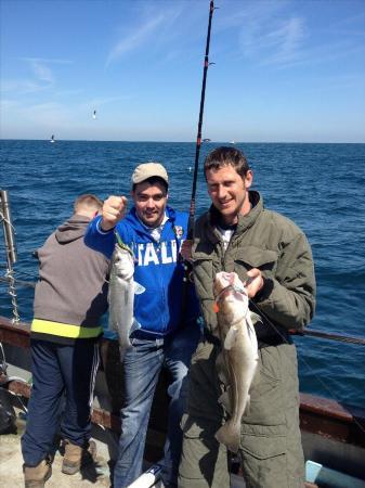 6 lb Cod by Euro and Lofty