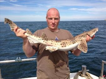 10 lb 4 oz Bull Huss by Gary