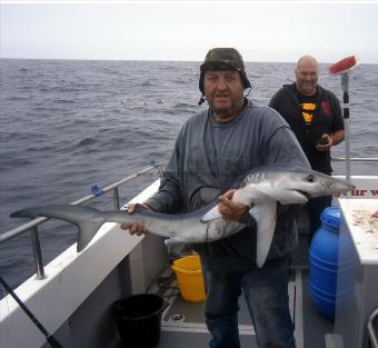 38 lb Blue Shark by Unknown