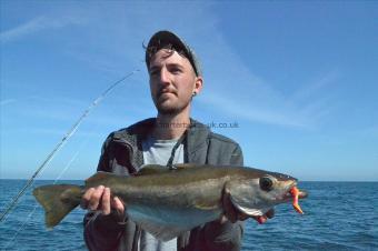 5 lb 19 oz Pollock by Unknown