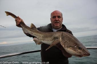 12 lb Bull Huss by Neil