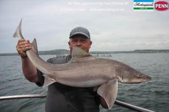 20 lb Starry Smooth-hound by Brooksy