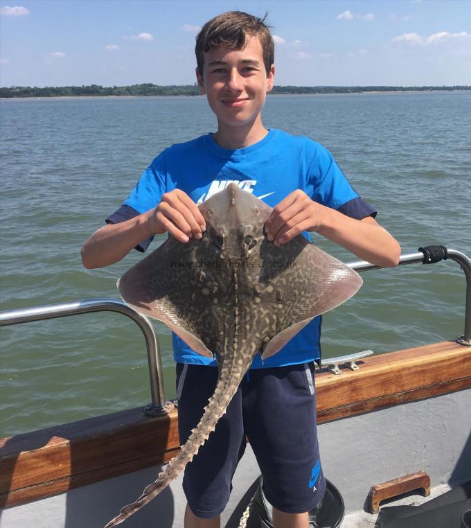 8 lb Thornback Ray by Unknown