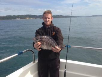 3 lb 8 oz Black Sea Bream by Unknown