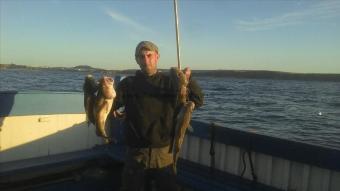 3 lb 12 oz Cod by Drew