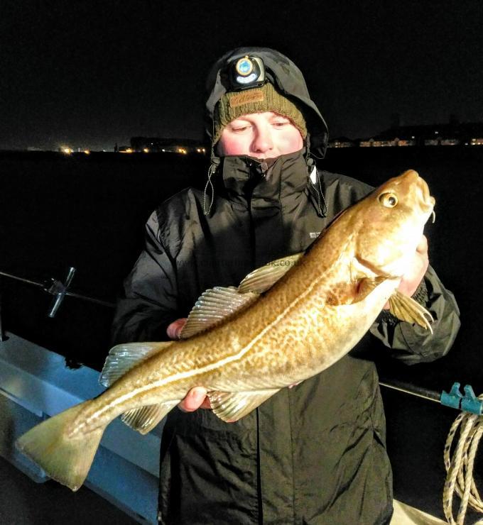 5 lb Cod by Unknown