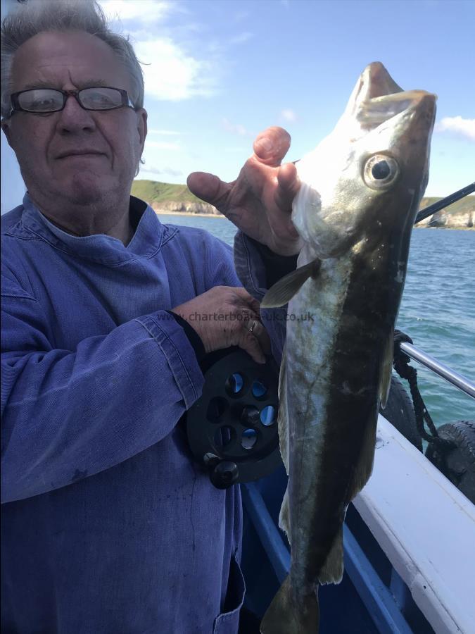 4 lb Pollock by Nev  pollock catching