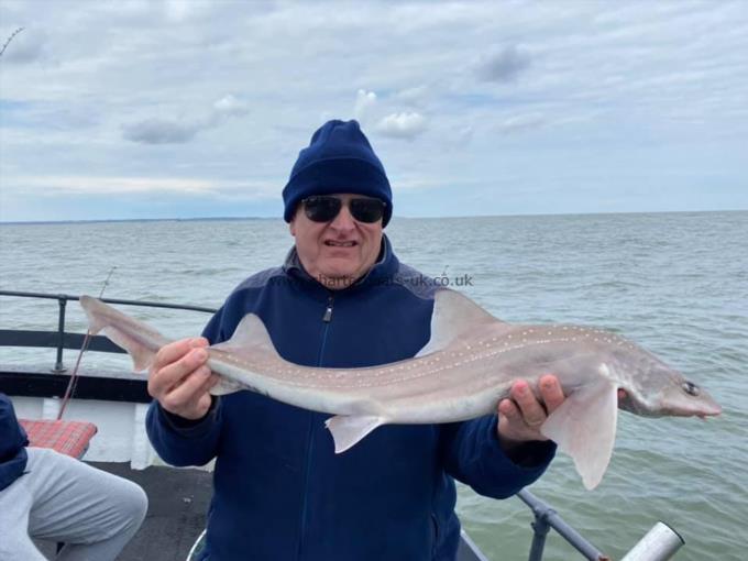 6 lb Smooth-hound (Common) by Unknown