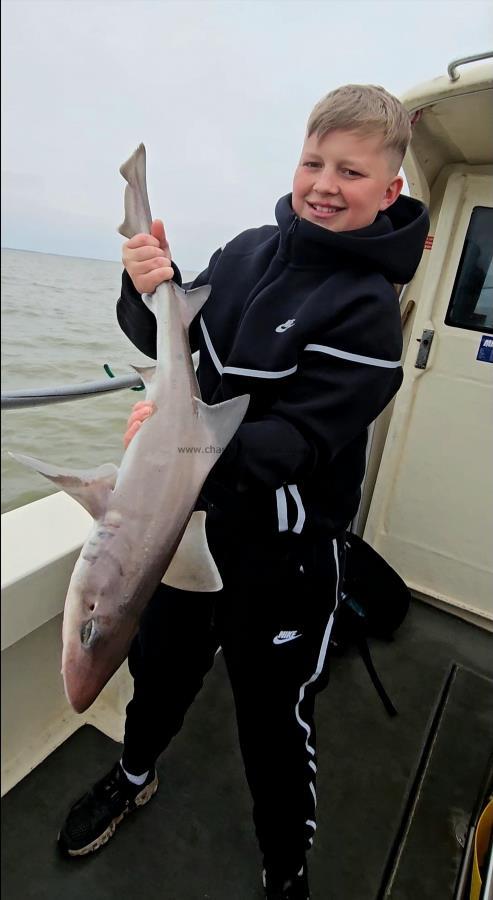 7 lb 4 oz Smooth-hound by Jude