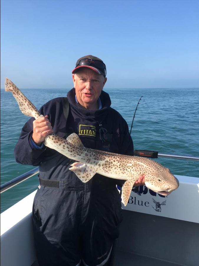 10 lb 8 oz Bull Huss by Paul Milkins