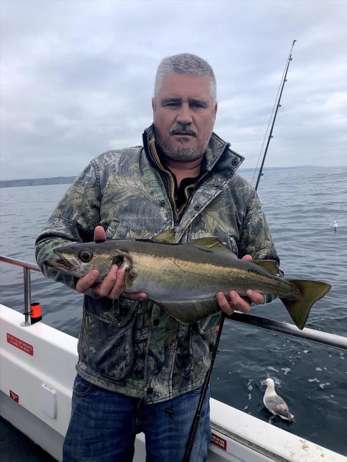 4 lb Pollock by Jonathan Evans