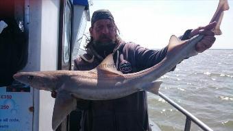 10 lb 7 oz Starry Smooth-hound by Pete pirate