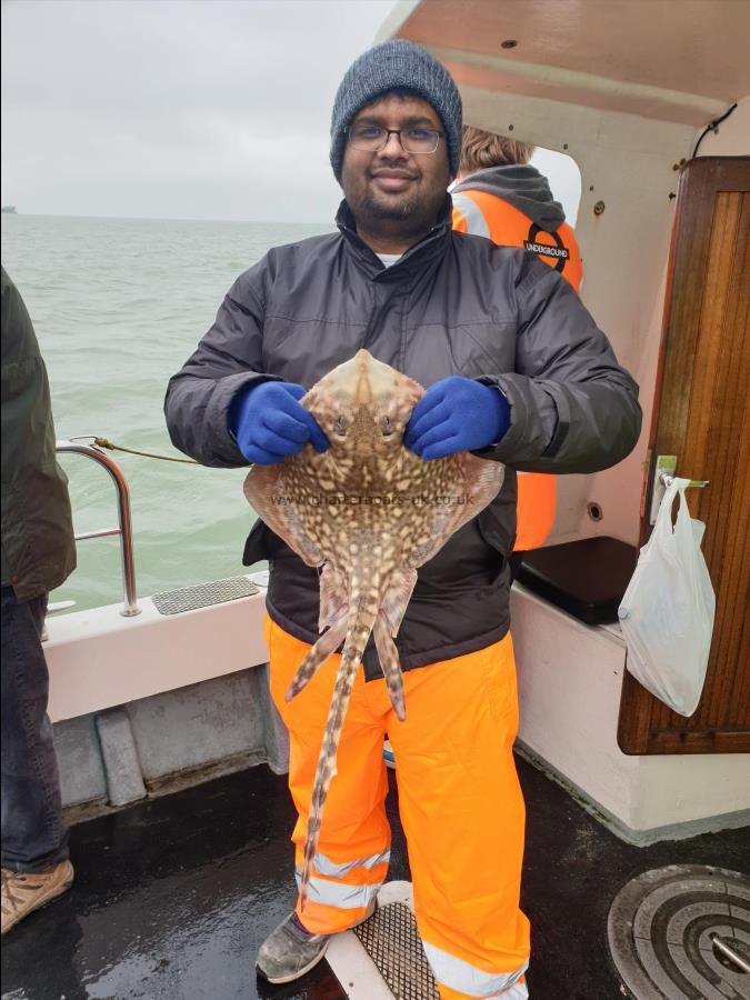 6 lb 8 oz Thornback Ray by Bob Marshall