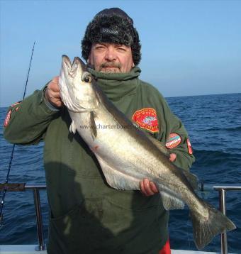 11 lb 3 oz Pollock by Russell Salmon