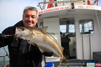 3 lb Pollock by Dave