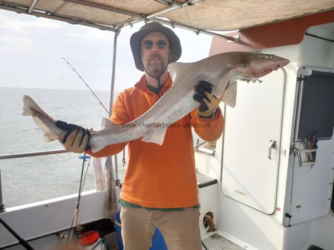 13 lb Smooth-hound by Andrew